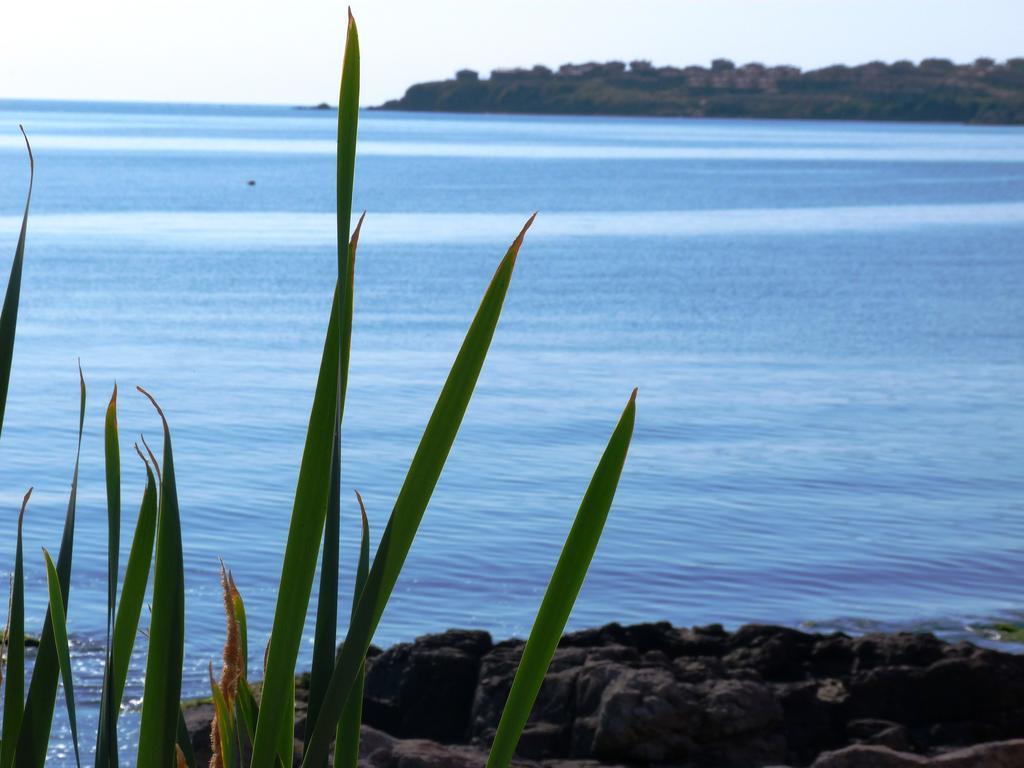 Sea View Apartments Sozopol Pokój zdjęcie